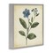 Stupell Industries Vintage Blue Blossoms Wildflower Framed Giclee, design by Petal Prints Design